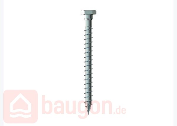 Eurotec Transportanker-Schraube 11 x 160 mm VE:20