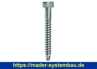 Eurotec Bohrschraube DiLo; Edelstahl gehärtet; TX25...