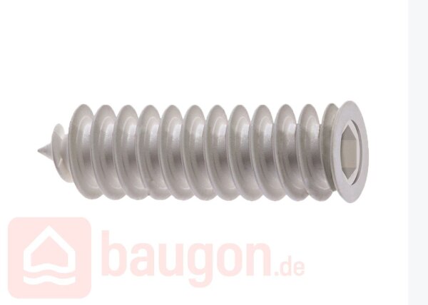 Eurotec Hartschaum-Dübel Ø20 x 50 mm für Schrauben mit Ø4,0 – 4,5 mm VE:50