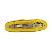 Eurotec Zurrgurt mit Ratsche und Spitzhaken 8 m x 50 mm VE:1