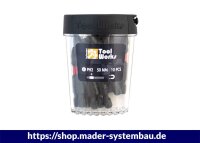 Eurotec Bit-Set TX40 mit Magnetbithalter 50 mm VE:10