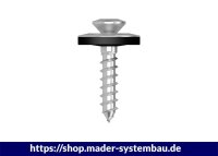 Eurotec Spenglerschrauben; Edelstahl A2; 2 tlg.; TX20 4,5...