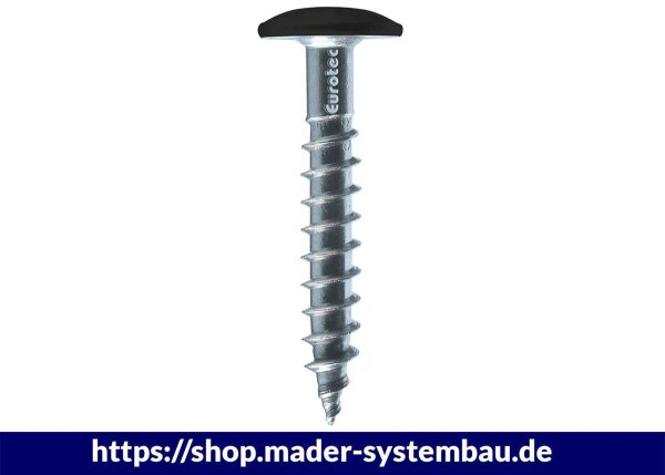 Eurotec Color-Fassadenschraube; Edelstahl A4; TX20; blank 5,3 x 35 mm VE:100