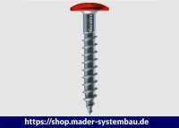 Eurotec Color-Fassadenschraube; Edelstahl A2; TX20; blank 4,8 x 32 mm VE:250