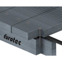 Eurotec Mammutec Scheibenkopf; Edelstahl A4; TX40 8,0 x...