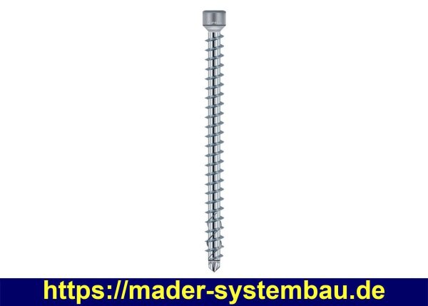 Eurotec KonstruX Zylinderkopf; Edelstahl A4; TX40 8,0 x 220 mm VE:50