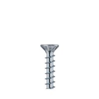 Eurotec KonstruX Senkkopf; Edelstahl A4; TX40 8,0 x 125 mm VE:50