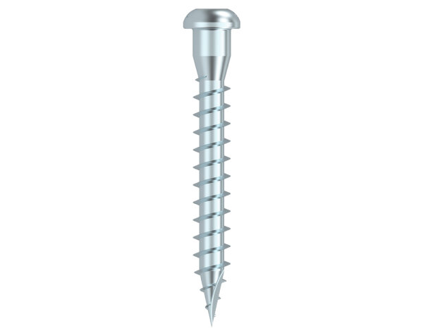 Eurotec Winkelbeschlagschraube; Edelstahl A4; TX20 5,0 x 60 mm VE:250