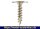 Eurotec Pfostenverbinderschraube; Stahl sonderbeschichtet; TX40 10,0 x 50 mm VE:50