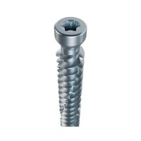 Eurotec Beton-Rahmenschraube Zylinderkopf; Stahl verzinkt; Kopf-Ø 7,5; TX25 7,5 x 182 mm VE:100