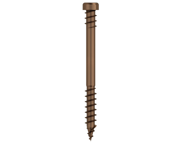 Eurotec Terrassotec; Edelstahl A2 Antik; TX25 5,3 x 60 mm VE:250